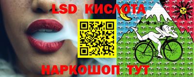 крисы Лесосибирск