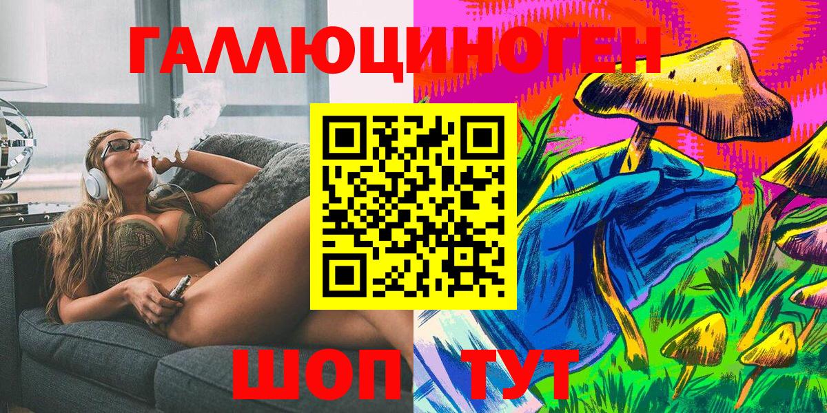 где купить   Псилоцибиновые грибы Cubensis  Вход с VPN  Гусев  Псилоцибиновые грибы мицелий 