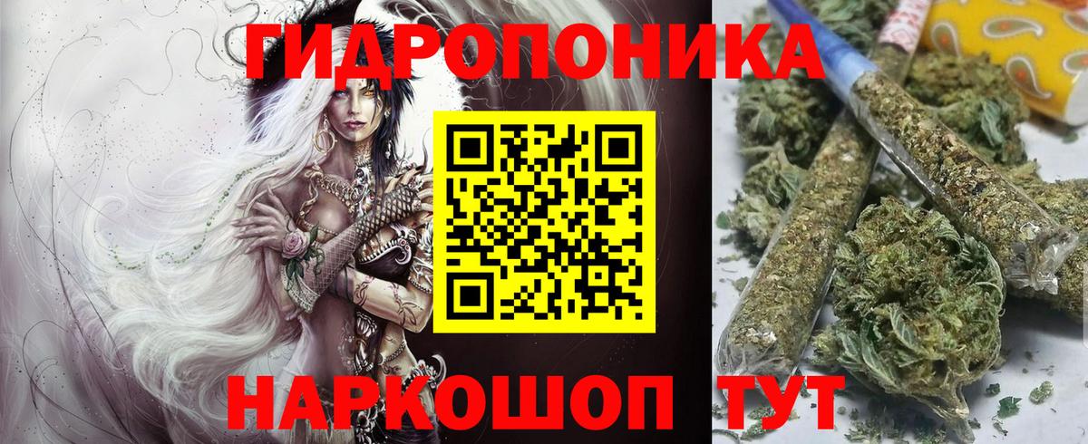 Бошки Шишки марихуана  Вход с VPN  Бошки марихуана сатива  Гусев  Канабис Bruce Banner  Канабис AK-47 